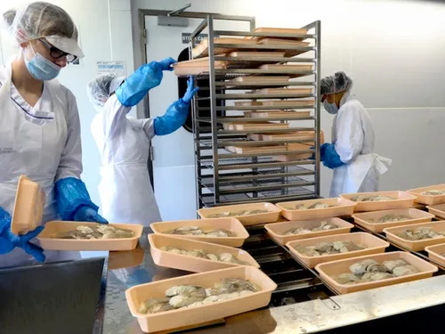 A Nantes, le plastique à la cantine agite toujours les débats