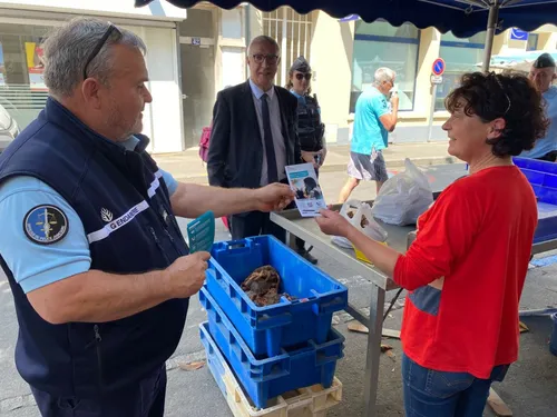 A Châteaubriant, des flyers contre les violences faites aux femmes