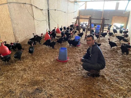 Grippe aviaire : coup dur pour les éleveurs de l'ouest touchés