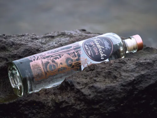 Nouvelle boisson : un gin aux algues du Finistère