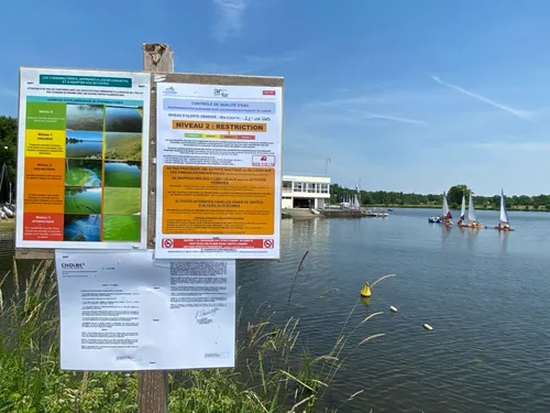 A Cholet, les cyanobactéries du lac du Ribou surveillées de près