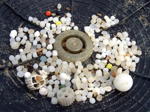 Pollution du littoral Atlantique aux billes de plastique : le fléau...