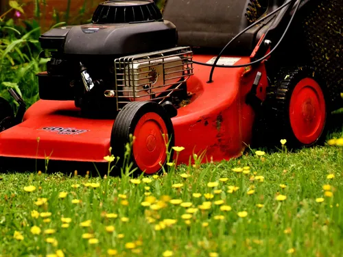 Rennes, pionnière en matière d'écologie