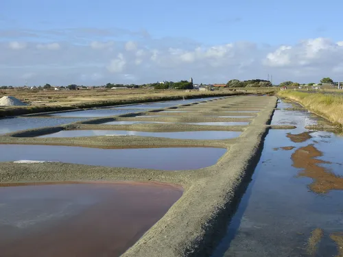 Les paludiers annoncent une récolte de sel médiocre
