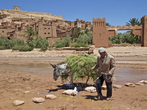 Séisme au Maroc. La solidarité s'organise dans l'ouest, entre dons...