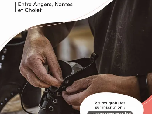 L'opération "C'est quoi ton entreprise" est relancée dans les Mauges 