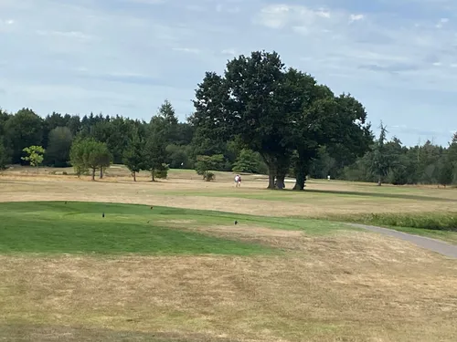 Ille-et-Vilaine. La sécheresse commence à impacter durement ...