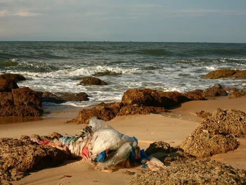 World Clean Up Day. L'association bretonne "The Sea Cleaners"...