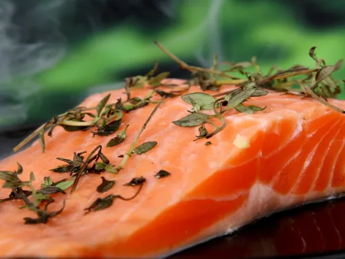 Une usine de saumons est en projet sur Guingamp