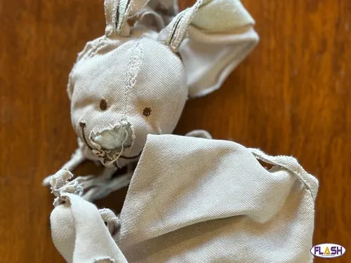 Un Doudou perdu attend son propriétaire !