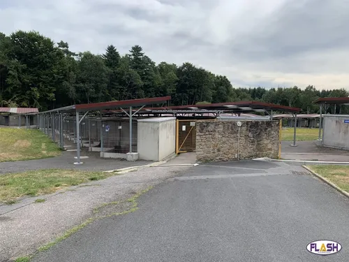 Une chienne enfermée sur un balcon sans eau ni nourriture