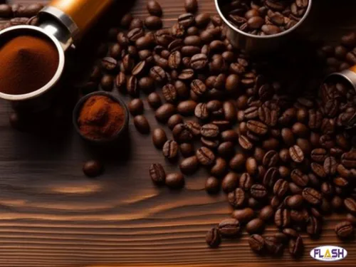 Tentative de vol dans une entreprise de café à Limoges : un employé...