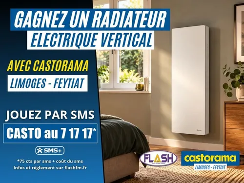Castorama Limoges Feytiat : Gagnez un radiateur vertical Sauter de...