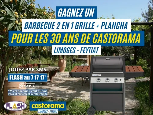 Fêtez les 30 ans de Castorama Limoges-Feytiat : Gagnez votre...