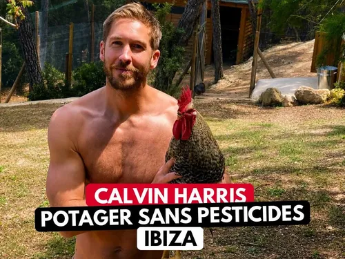 Calvin Harris : sa vie secrète au cœur d’une ferme biologique à Ibiza