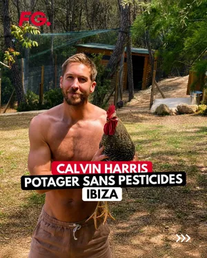 Calvin Harris : sa vie secrète au cœur d’une ferme biologique à Ibiza