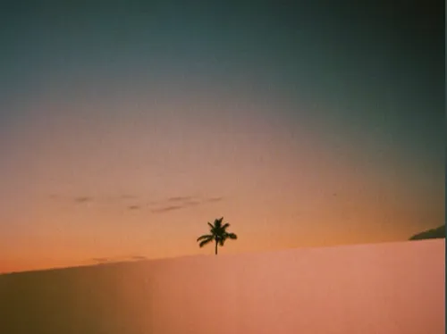 Switch Disco et Tones and I revisitent le tube Hideaway de Kiesza