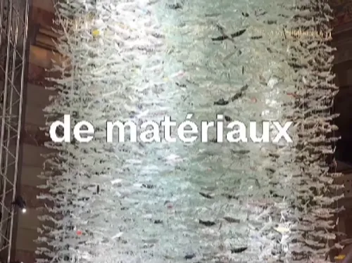 FG CHIC : ÉMERGENCE : 30 000 POISSONS IRISÉS NAGENT DANS LA LUMIÈRE...