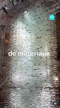 FG CHIC : ÉMERGENCE : 30 000 POISSONS IRISÉS NAGENT DANS LA LUMIÈRE...