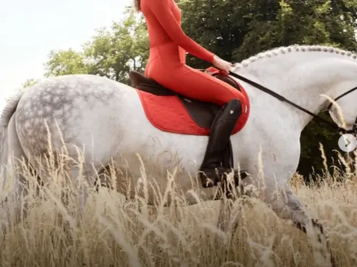 FG CHIC : Stella McCartney x LeMieux , quand la mode consciente...