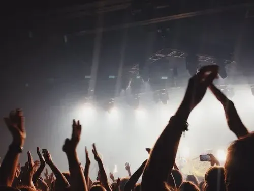 On a trouvé la plateforme qui ne vous fera plus louper vos artistes...