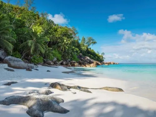 Les plus beaux hôtels des Seychelles