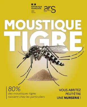 Un cas de dengue détecté à Illkirch-Graffenstaden : une opération...