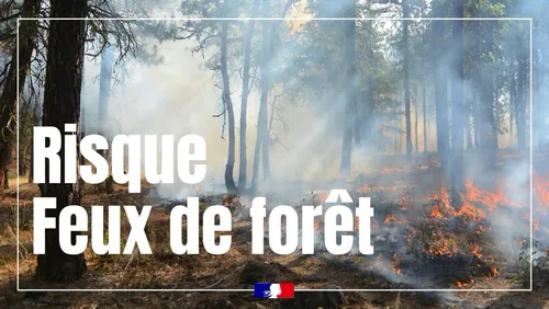 Risque incendie : le préfet de Meurthe-et-Moselle active le niveau...