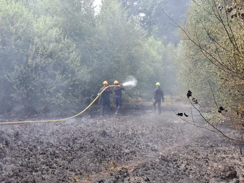 Sécheresse dans les Vosges : sept incendies en 48 heures, la...