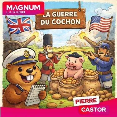 Comment un cochon à pu être à l'origine d'un conflit absurde ?