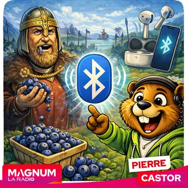 Pourquoi le Bluetooth n'existerait pas sans les myrtilles ?