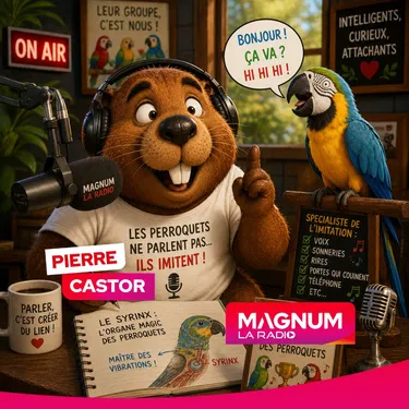 Pourquoi les perroquets "parlent-ils" comme nous ?