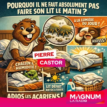 Pourquoi il ne faut absolument pas faire son lit le matin ?