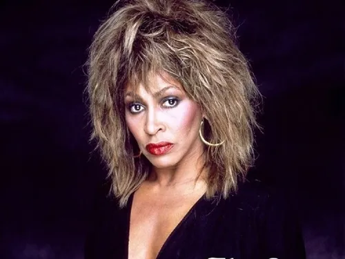 TINA TURNER - THE BEST