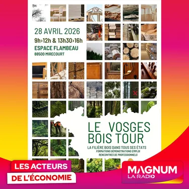 VOSGES BOIS TOUR