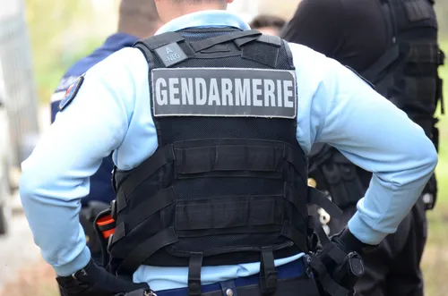 Un nouveau-né découvert en lisière d'une forêt du Haut-Rhin