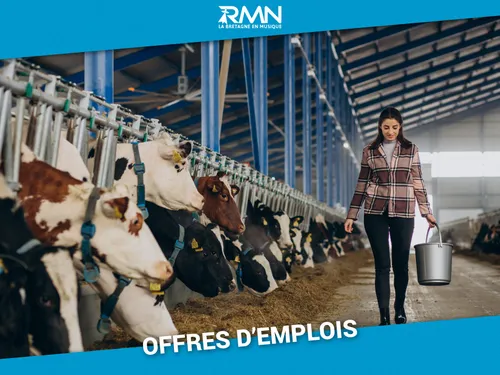 Les offres de la semaine