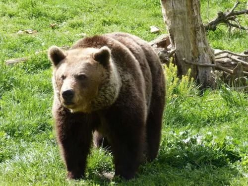 Le journal du 19/03/2025