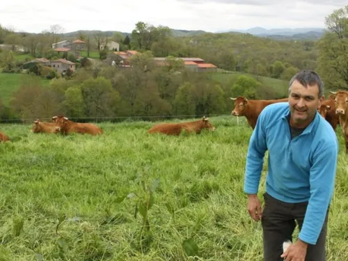 Abattage annoncé de 208 bovins au GAEC de Mouriscou : la profession...
