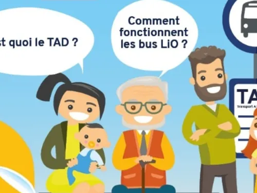 Couserans : le Transport à la Demande facilite les déplacements du...