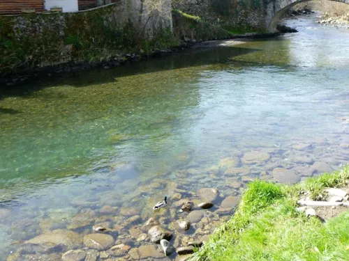 Le Lez : un partage de l’eau sous tension