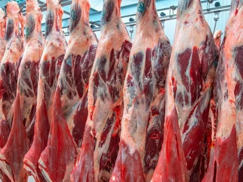 Un nouveau gestionnaire pour pérenniser l’abattoir de Saint-Girons