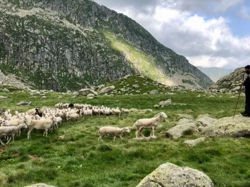 Les Pastorales de Guzet mettent la montagne à l’honneur