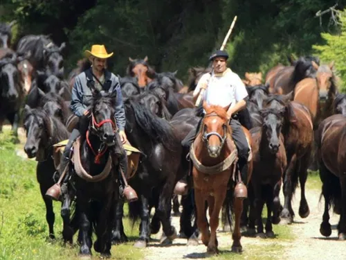 La transhumance de Bethmale fête ses 20 ans