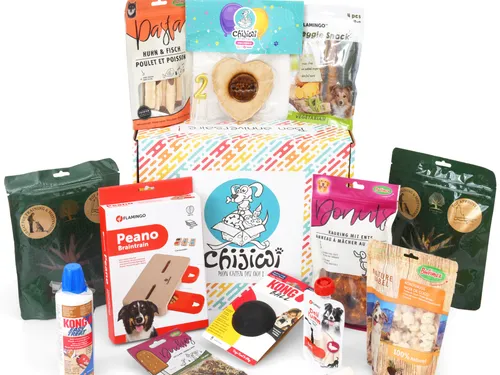 Gâteaux, cadeaux… Fêtez l’anniversaire de votre chien comme il se...