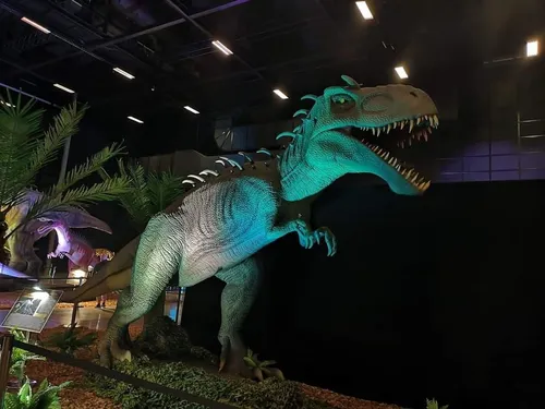 Salon de l’Agriculture, dinosaures et canapé orange… : trois idées...