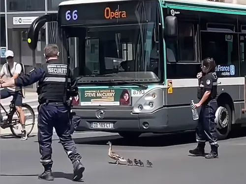 Instant mignon : des policiers parisiens escortent une maman et ses...