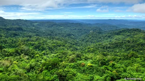 La Colombie séduit de plus en plus ! 