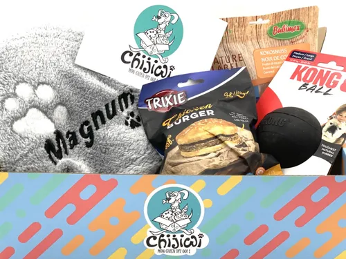 Avec les boîtes cadeaux de Chijiwi, faites plaisir aux chiens de...
