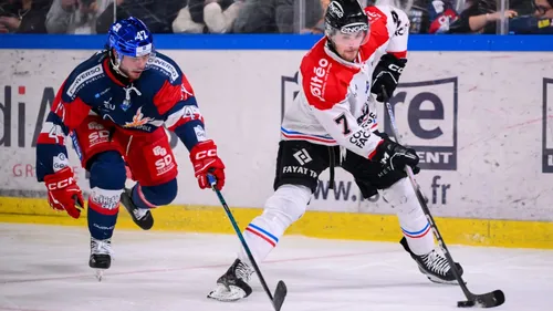 Boxers de Bordeaux : le calendrier de la saison 2026/2027 de Ligue...